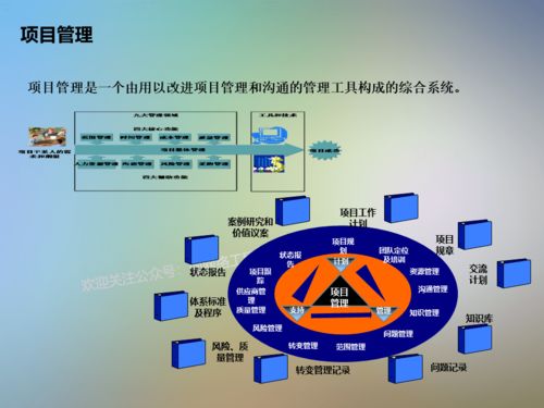 信息系统项目咨询方法论 提升IT咨询服务效率与价值
