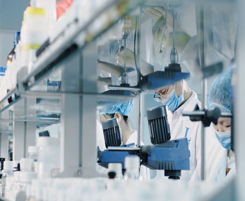 广州萝薇面膜代加工起订量及信息咨询服务指南